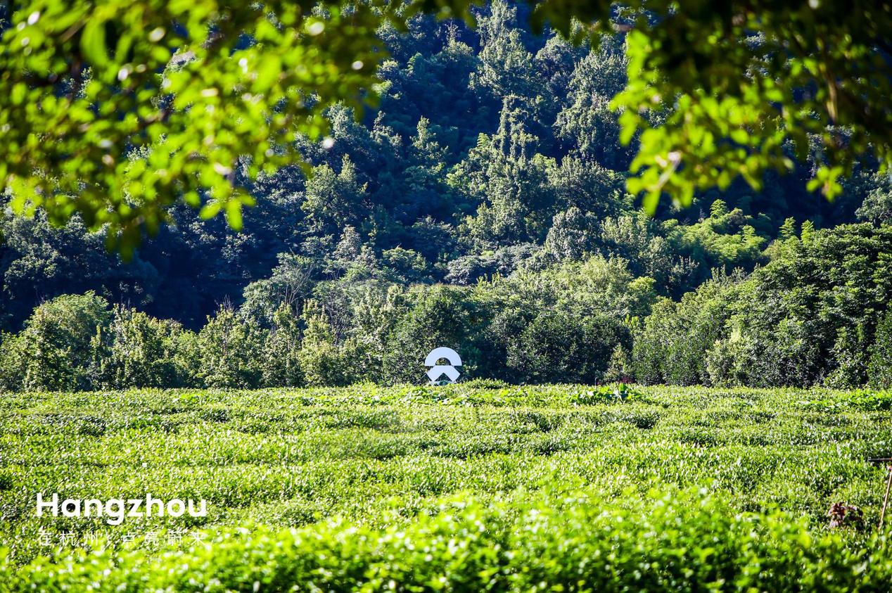 12926-1531894753.jpg 12926-1531894753.jpg